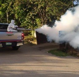 Ministerio de Salud refuerza estrategias de control y prevención contra dengue y malaria