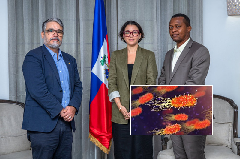 Gobierno Haití confirma diez casos sospechosos de ántrax