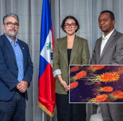 Gobierno Haití confirma diez casos sospechosos de ántrax